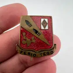 260th Regiment Unit Crest (Ferio, Tego) I Strike, I Defend DC ARNG Lapel Hat Pin