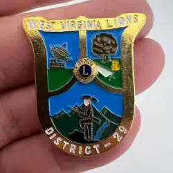 Vintage West Virginia Lions Club Pin - District 29 - Brooch Style Back
