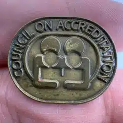 Council On Accreditation Lapel Hat Pin