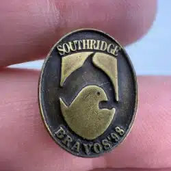 1998 Southridge Bravos Lapel Pin with Bird and Dolphin