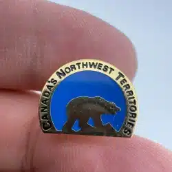Canada's Northwest Territories Bear Pin - Metal Enamel Lapel - Scratches