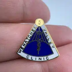 Wenatchee Valley Clinic 5 Year Employee Service Lapel Hat Pin Award
