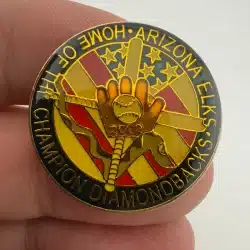 2002 ARIZONA ELKS HOME OF THE CHAMPION DIAMONDBACKS BASEBALL LAPEL HAT PIN