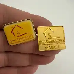 APTA American Physical Therapy Association Home Health Section 2 Pin Set