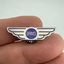 Unknown DRMS Wings Lapel Hat Pin -  Dallas Ranch Middle School???