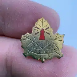 Unknown DCEC D.C.E.C. Banner On Maple Leaf Pin *read description*