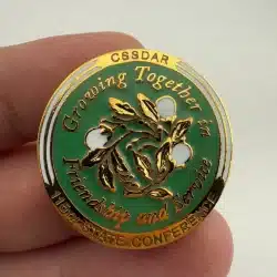 CSSDAR California Daughters of the American Revolution 115th St. Conference Pin