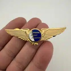 EEA Experimental Aircraft Association Pilot Wings Lapel Badge Pin
