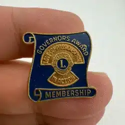 Lions Club Governors Award Membership Vintage Lapel Pin *paint loss*