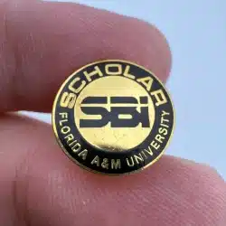 FLORIDA A&M UNIVERSITY SBI Scholar Pin - School of Business and Industry???