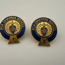 BCA Dharma School 1 and 2 Year/Level Pins