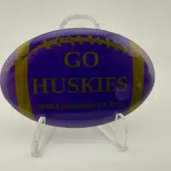 University Of Washington Go Huskies HMBAA Scholarship Fund Donor Pinback Button