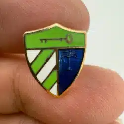 Unknown Crest Pin with Key, Stripes, and Palm Tree