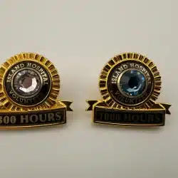 Island Hospital Volunteer Pins - 300 + 1000 Hours - Maybe Anacortes, WA????