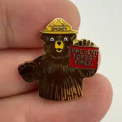 Vintage Smokey Bear Prevent Forest Fires! Pin Brooch - RARE