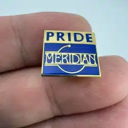 Meridian Pride Pin - Credit Union? Science Company?