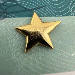 Alternative view of LACMTA Los Angeles Metro Star Appreciation Pin *damaged*