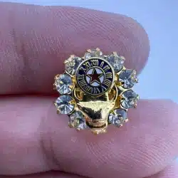 BPOE Benevolent and Protective Order of Elks Pin with Rhinestones