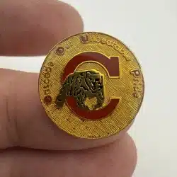 Unknown Cascade Our Unbeatable Pride Coup Pin with bear