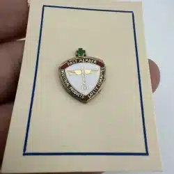 BOEING PAST MEMBER INDUSTRIAL PRODUCTS SAFETY COMMITTEE PIN - SCREWBACK - RARE