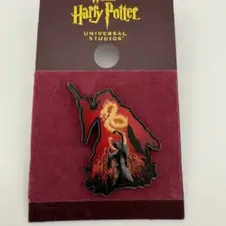 Universal Studios Harry Potter Dumbledore and Voldemort Silhouette Lapel Hat Pin