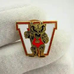 Unique Wisconsin Badgers Pin - Unknown Sport