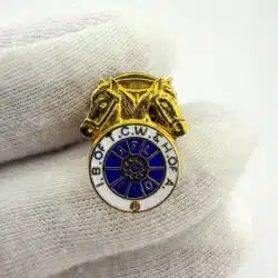 Teamsters Union Pin - IB OF TCW & H of A AFL CIO