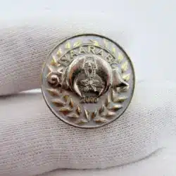 Yaarab Shriners 2000 Jewel Of The Order Lapel Pin - Silver and Gold Tone