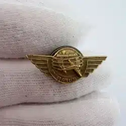 Vintage United Airlines 100,000 Miles Award Screwback Pin by Morgans