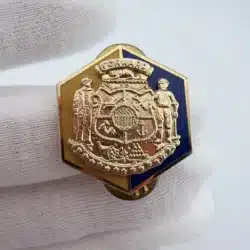 Wisconsin ARNG Army National Guard Element DUI Pin - S-38