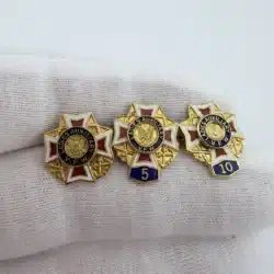 VFW Ladies Auxiliary Pin Brooch Set including 5 and 10 Year Pins