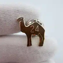 24 Hour Sobriety Camel Pin - Marks