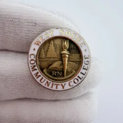 West Shore Community College RN Registered Nurse Pin Brooch - 1/10 10K GF