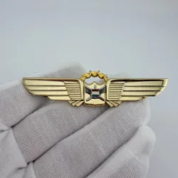 United Airlines Pilot Wings 1 - 9 Years - Vintage & Obsolete