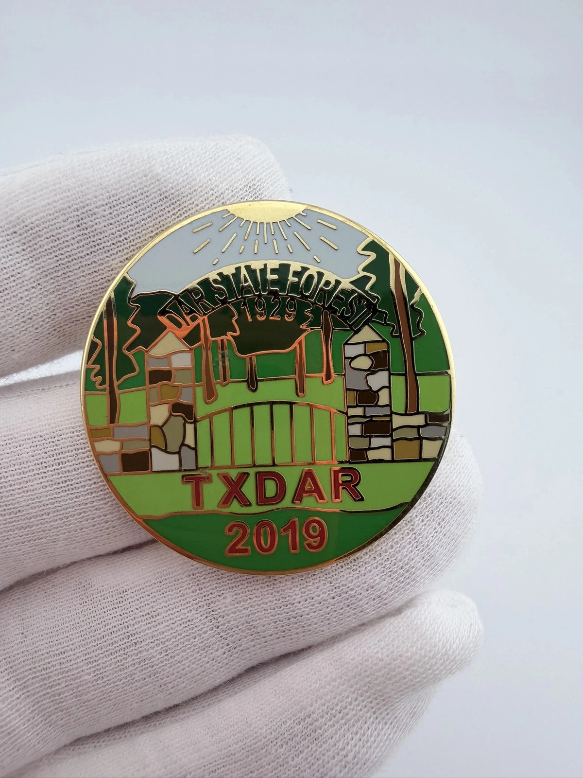2019 Texas DAR State Forest Lapel Pin - Daughters of the American Revolution