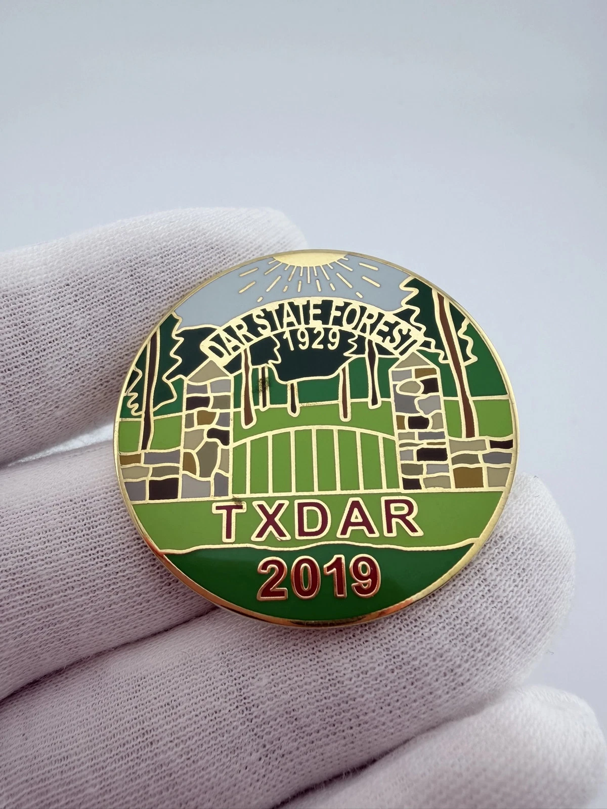 2019 Texas DAR State Forest Lapel Pin - Daughters of the American Revolution - Image 2