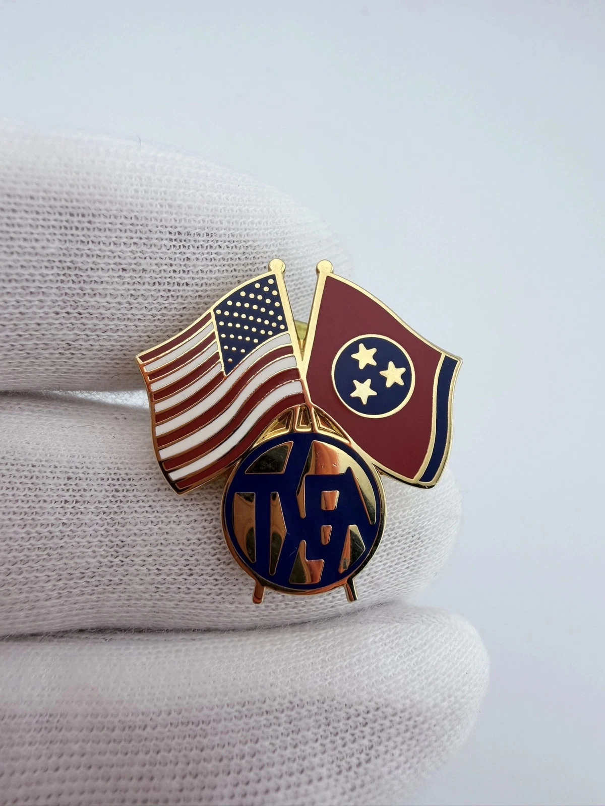 TSEA Tennessee State Employees Association Crossed Flags Pin