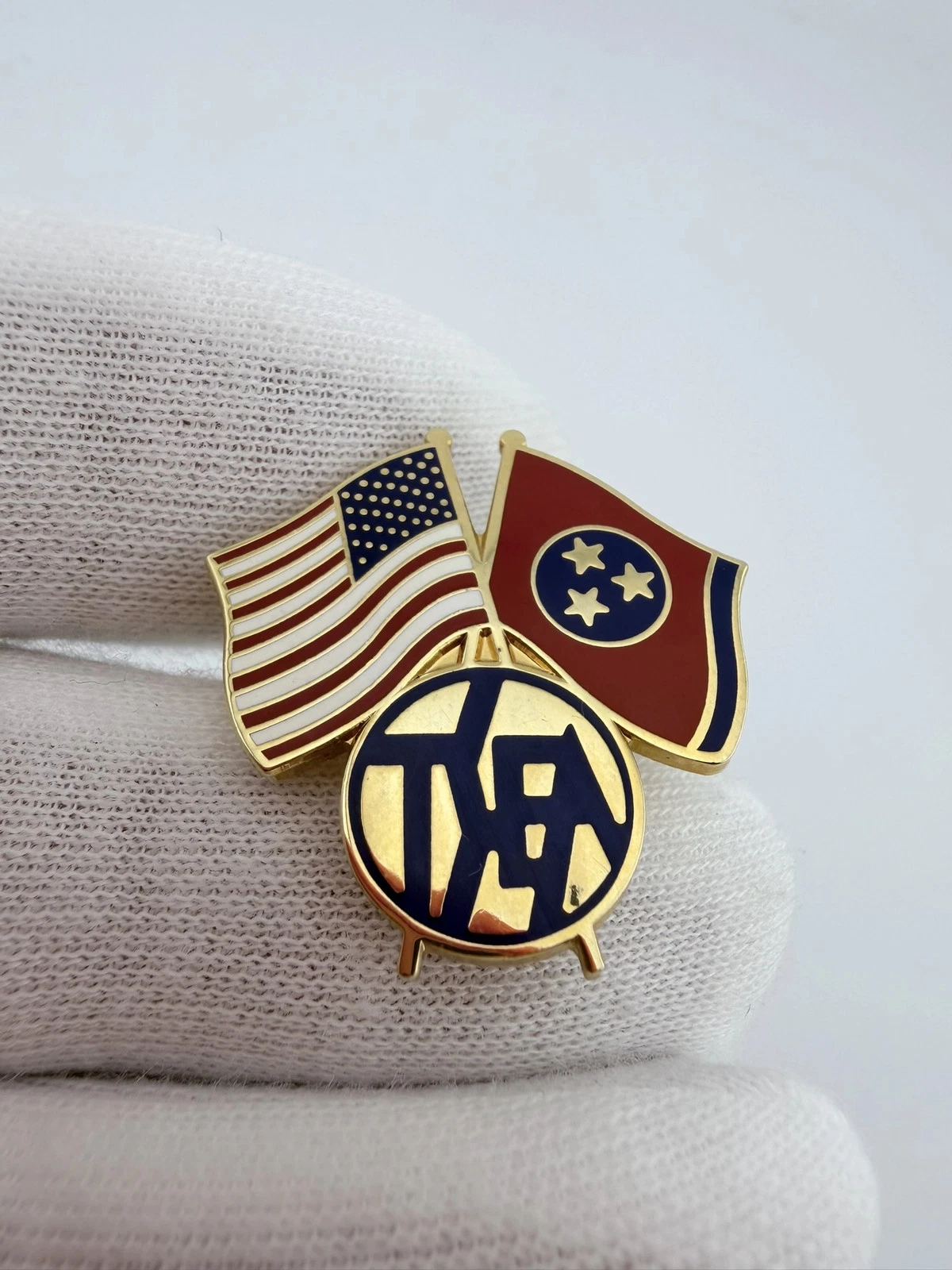 TSEA Tennessee State Employees Association Crossed Flags Pin - Image 2