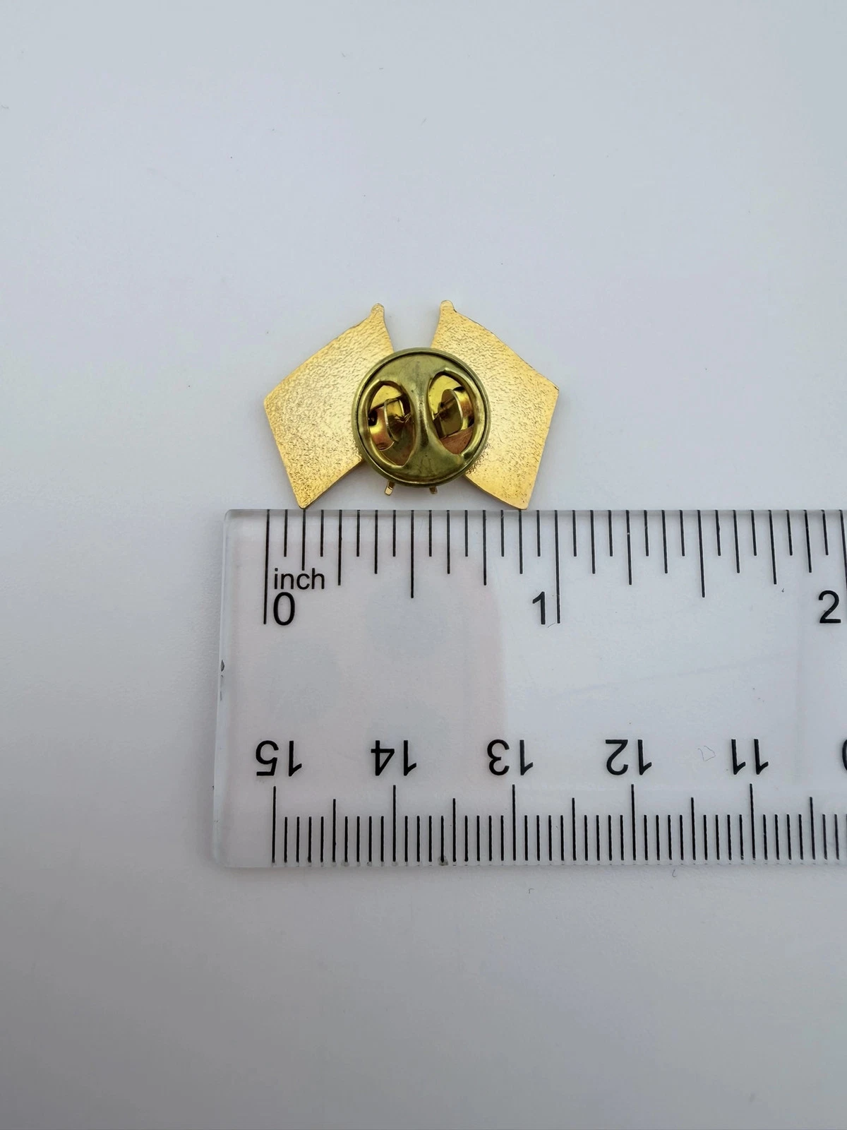 CPOF Correctional Peace Officers Foundation Taking Care of Our Own Flag Pin - Image 3