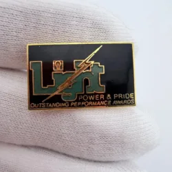 Light Power & Pride Lapel Pin - Outstanding Performance Awards