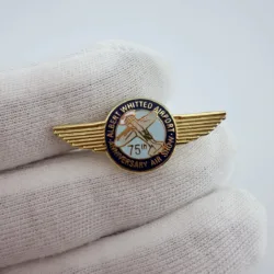 Albert Whitted Airport 75th Anniversary Air Show Pin - Florida
