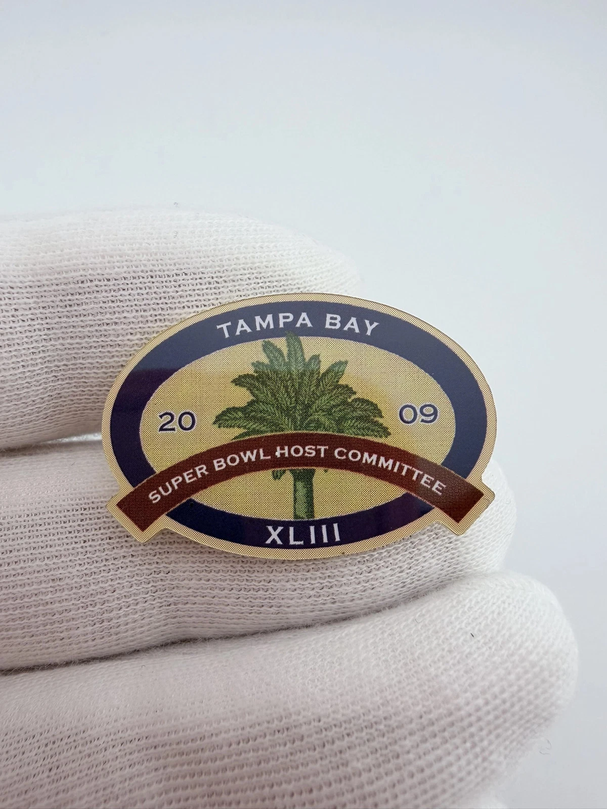 2009 Super Bowl XLIII Host Committee Lapel Pin - Tampa Bay